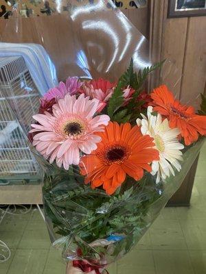 Gerber Daisy Bouquet