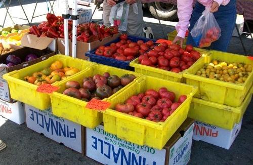 Tomatoes!