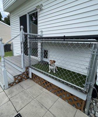 Custom dog kennel with dog door