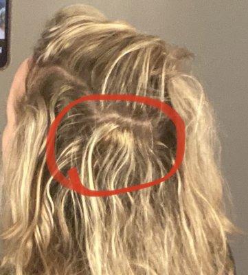 This is my hair two weeks after the appt. I just found this ugly, not processed spot. Wow.