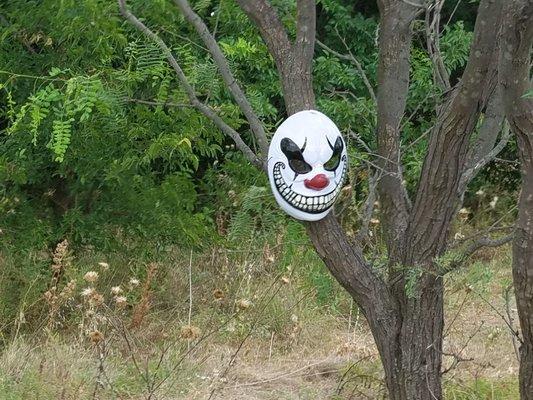 An ICP fan must left this on the trail. The trail is well decorated and has some inviting park benches.