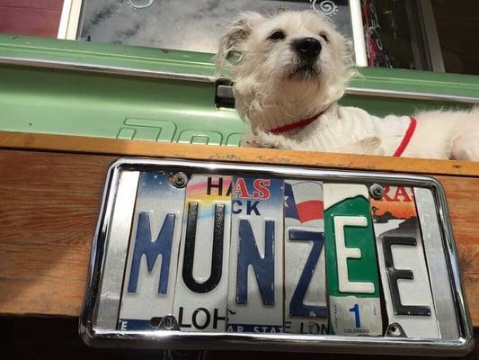 First time at the Munzee Marketplace. The employees were very nice and gave my dog a sample treat. He loved it!