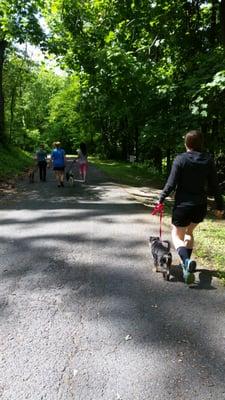 Group walk time!