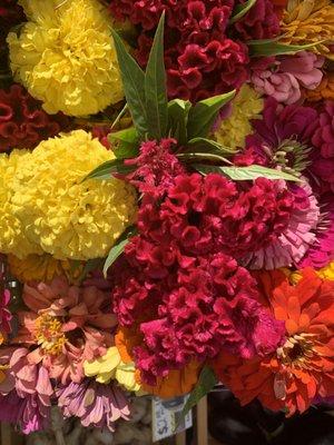 Late summer flowers by the stem