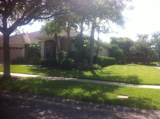 Yard cut, trimmed and edged. Hedges trimmed and palm trees pruned.