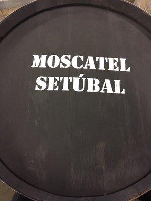 600L Moscatel Barrel