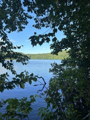 Was walking in the hiking trail at muddy run, love the scenery.