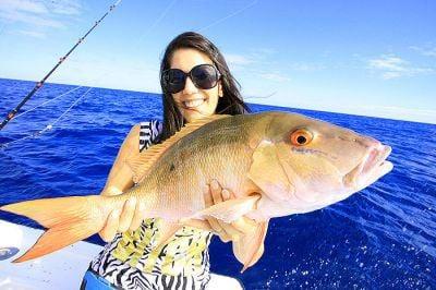 Snapper Fishing Charters