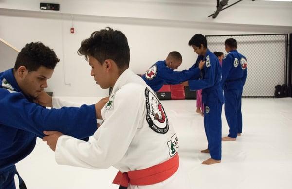 Brazilian Jiu Jitsu