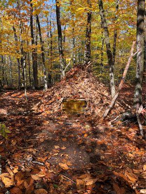 Maine Primitive Skills School