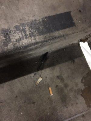 Dirt, grease, cigarretes, and roaches. $140 per month to park in this dump.