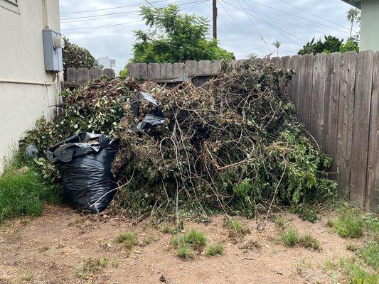 Owner's idea of landscaping. Shove everything into the back corner and cover the meters