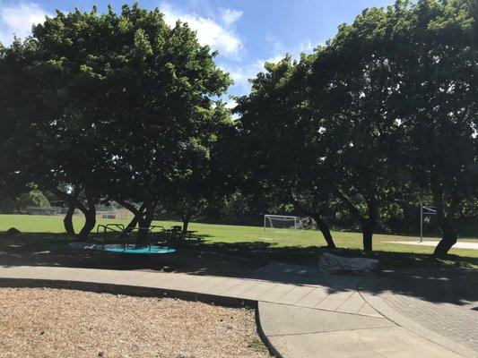 Green field, basketball courts