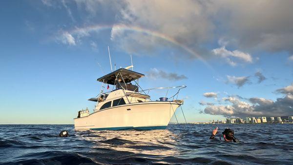 Ocean Therapy Charters