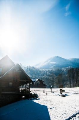 View out from "Fit for Kings" Cabin