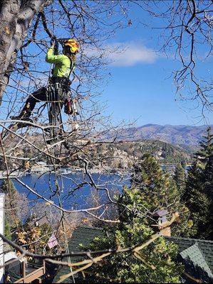 Removing branches overhanging client's house for insurance purposes with a beautiful view of Lake Arrowhead