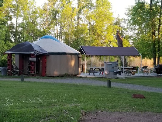 The ancient and traditional home of Nomads "Yurt"