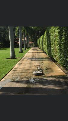 Pressure clean Driveway & hedge trimming .