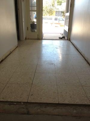 Terrazzo Clean & Polish Before