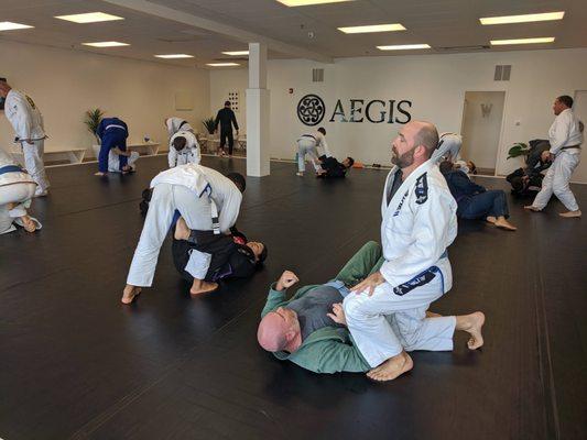 AEGIS Jiu Jitsu seminar.