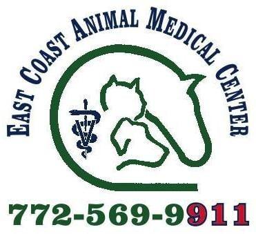 East Coast Animal Medical Center