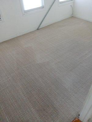 Aero Carpet Cleaning