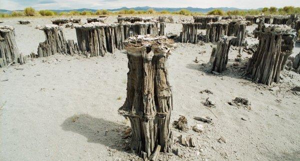 Isolated structures made of sand tufa, at Navy Beach. - - -Tom Brody