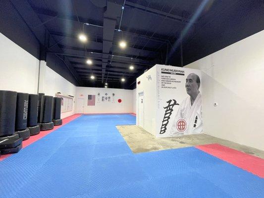 This is our dojo (training space)