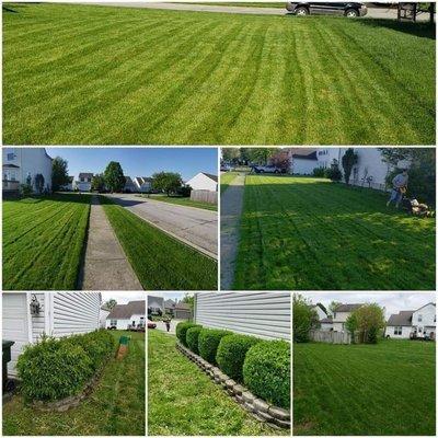 Mowing Lawns And Trimming Bushes