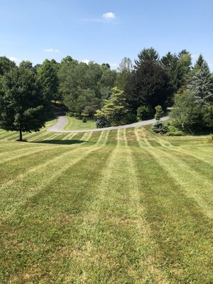 Mitzel Lawn Care