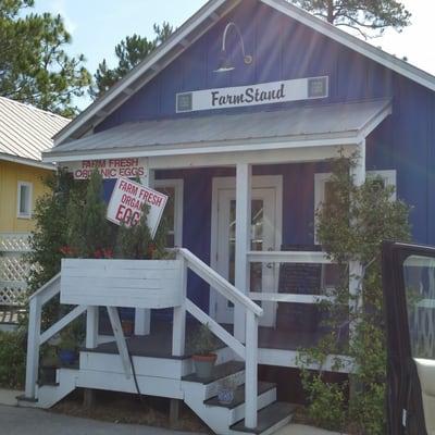 Farmstand...organics local farmer and restaurateur Grayton Beach