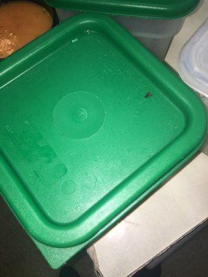 The lid of a food container from their fridge.