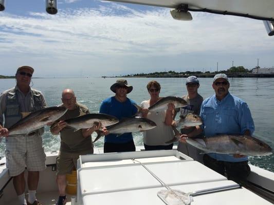 Greater Amberjack