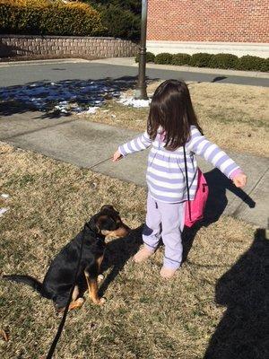 Teaching a dog to respect kids is important as well as we are doing a FOCUS exercise with a dog and building hierarchy in the family