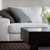 Upholstery Cleaning Madison WI