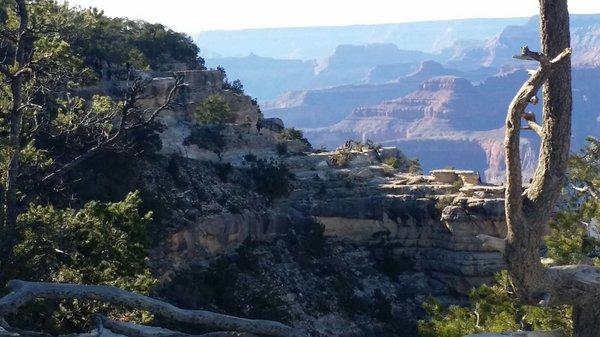 Grand Canyon South Rim Tour