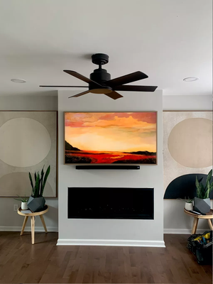 Fan and TV installation