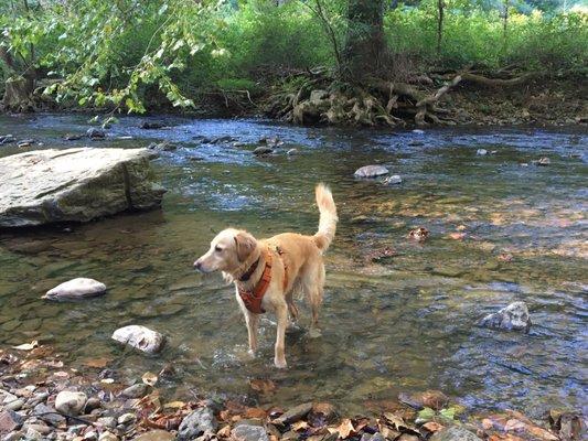 Helton Creek Campground