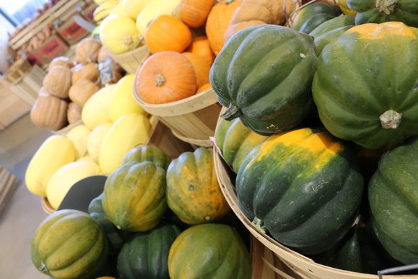 Winter Squash