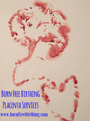 Placenta Art by Born Free Birthing.