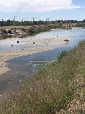 They just opened these canal that feeds all of the other canals