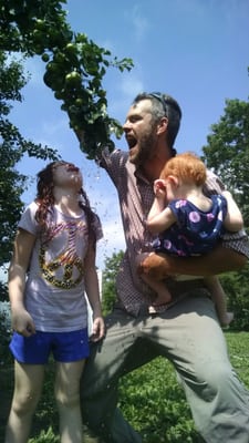 The girls and John squeezing pears on the tree!