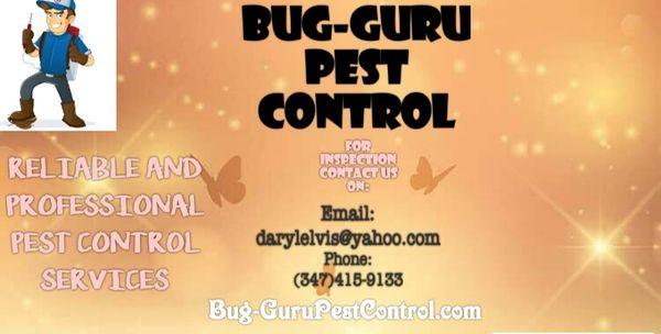 Bug-gurupestcontrol.com