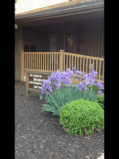 Center for Alternative Medicine location for Willowes