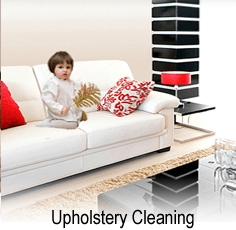 Upholstery Cleaning