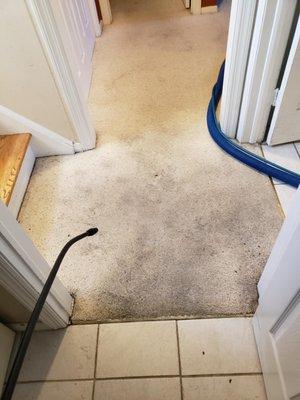 Mr G's Carpet Cleaning