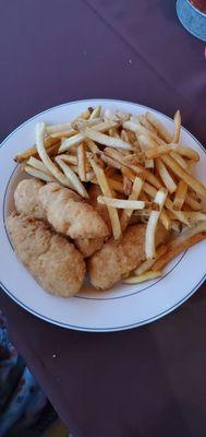 Chicken Tenders and Fries