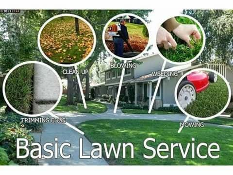 Lawn services