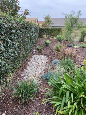 Did a nice job trimming the wall bush