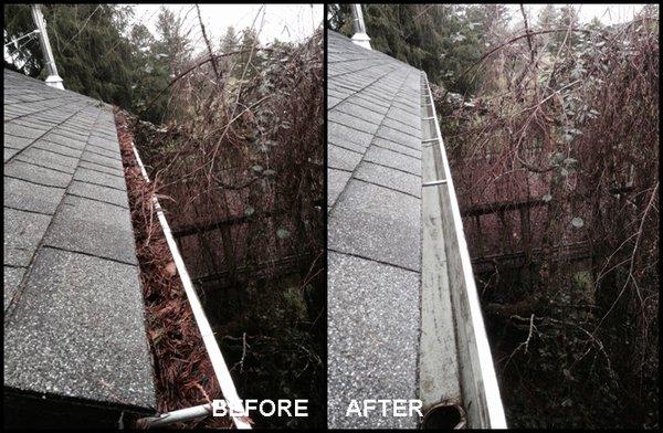 Gutter & Downspout Clearing